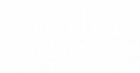 Logo of The Author Conservatory